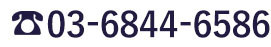 03-3264-1251 受付時間:10:00〜17:00(年中無休)